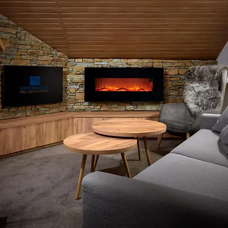 Szálloda Wellness Svornost 4*