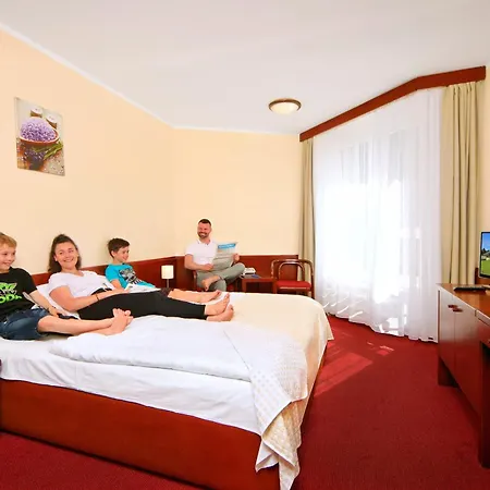 Wellness Svornost Hotel 4*