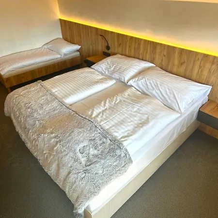 Wellness Svornost Hotel 4*