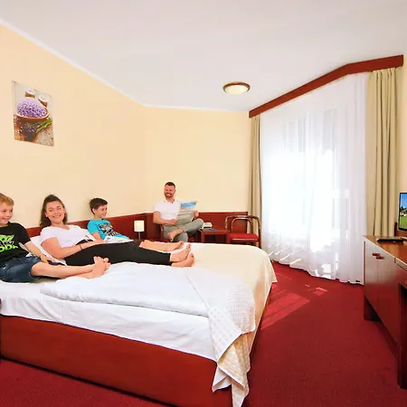 Wellness Svornost 4* Harrachov