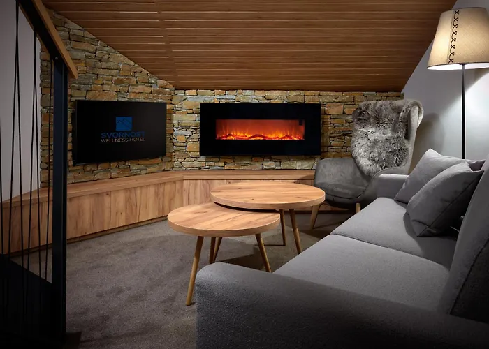 Hotel Wellness Svornost 4*