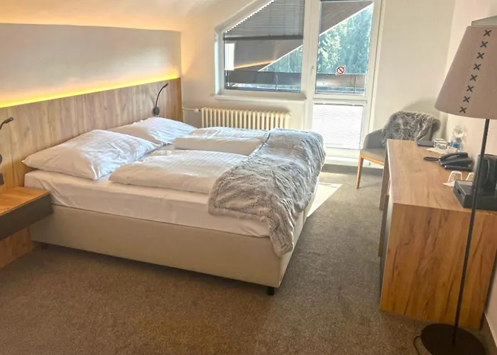 Wellness Svornost Hotel