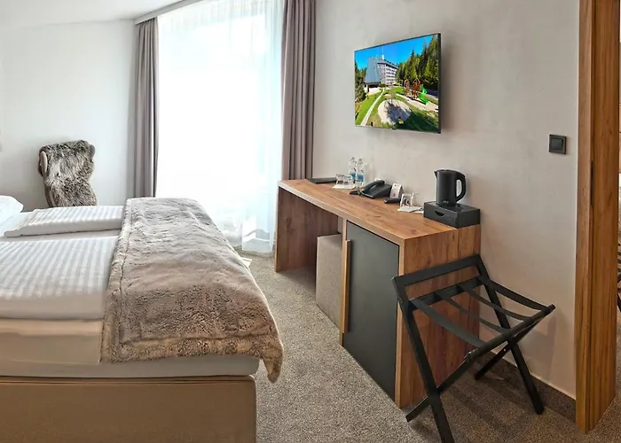 Wellness Svornost 4* Harrachov
