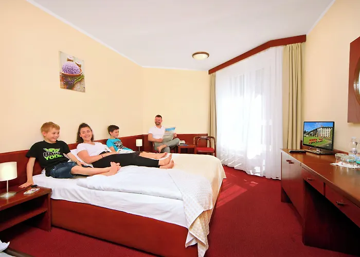 Wellness Svornost 4* Harrachov