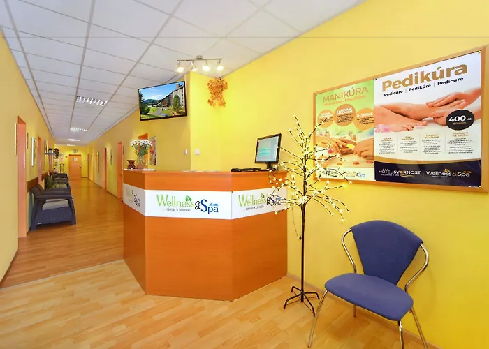 Hotel Wellness Svornost 4*